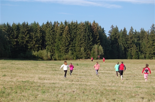 Obrázek v galerii